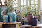 Die Patina entsteht durch einen natürlichen Prozess, für den das Team den Terrakotta-Töpfen rund ein Jahr Zeit lässt und der für Unikat-Charakter sorgt. Die Kollektionen werden seit rund zehn Jahren um glasierte Serien ergänzt, zum Teil mit passenden Untersetzern. Unter den 30 Neuheiten fallen Grüntöne und blaue Glasuren auf. Letztere empfiehlt das Unternehmen zum Beispiel für Zimmerpflanzen mit auffälligen Blättern. www.bgreen.dk