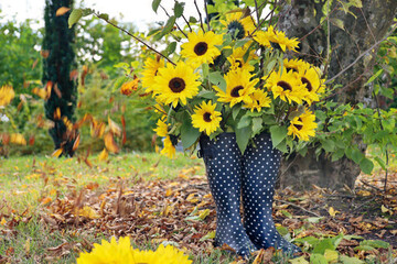 2 Sonnenblumen haben durch ihre gelbe Strahlkraft und ihre freudigen Gesichter eine sehr positive Auswir - kung auf unser Gemt. Daher spielen sie an Schlechtwettertagen eine aufmunternde Rolle. Eingestellt in pfiffige Gefe, zum Beispiel Gummi - stiefel, signalisieren sie uns, dass wir uns selbst und das Leben nicht so schwernehmen sollen.