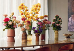 Die Schnittblumen der Kollektion: Anemone, Chrysantheme, Rose, Bouvardia, Nelke und Cymbidium.