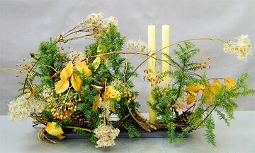 Malerisch gewachsener, kleinnadeliger Taxus, fruchtende Ramblerrose, stabilisierte Clematis recta und Elaeagnus.