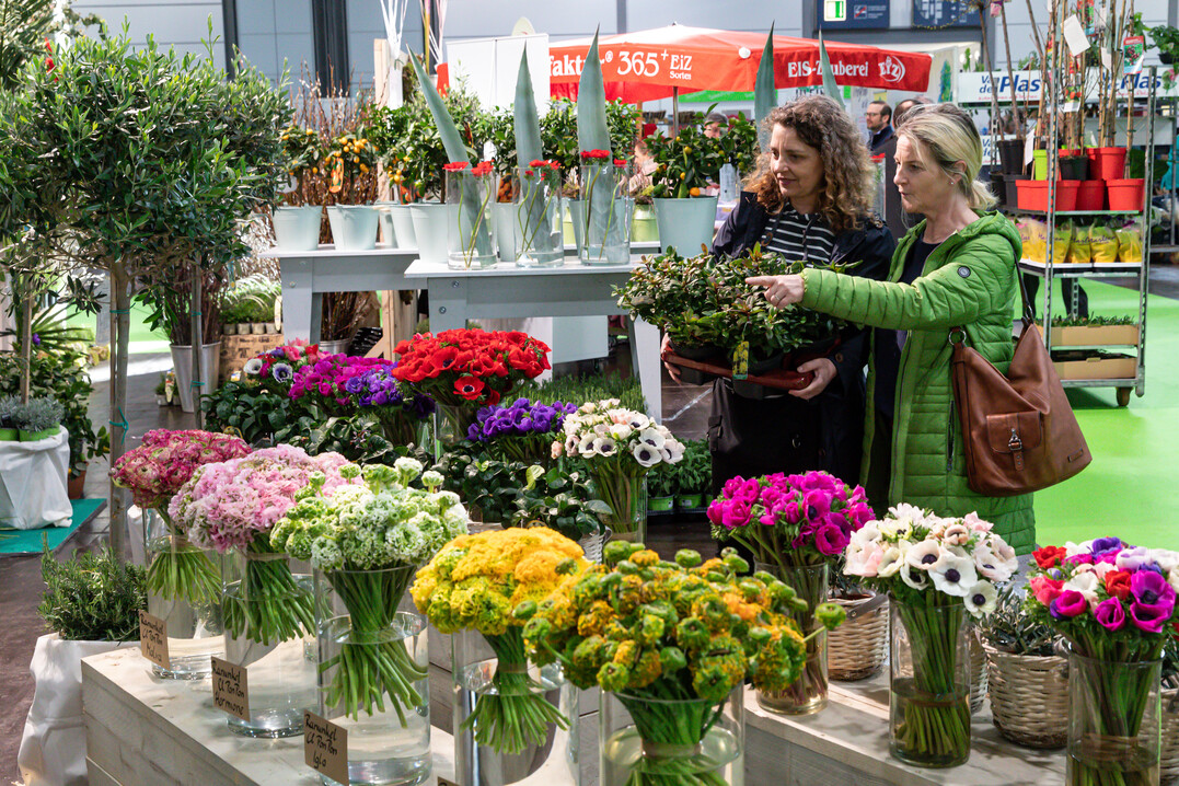 Auf der Floriga waren die Fachbesucher in Orderlaune und fanden ein breites Pflanzen- und Blumensortiment vor.