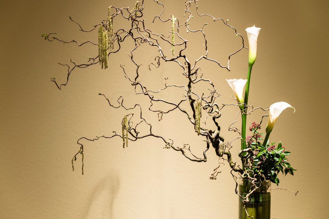 Die Ikebana International Zuerich Chapter 214 gewinnt den Award in Silber