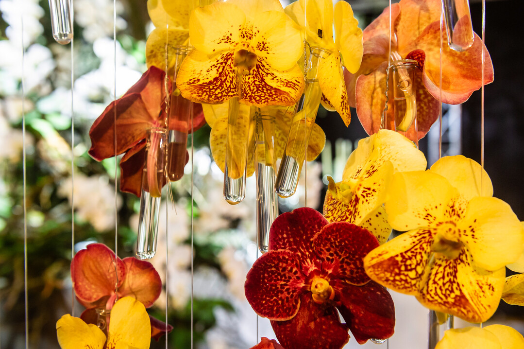 In vier verschiedenen floralen Inszenierungen interpretiert Karl Zuber das diesjhrige Leitthema Lieblingspltze.