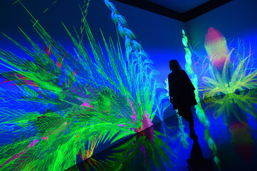 Wie umfangreich und bedeutsam Blumen sind, zeigt eine Ausstellung mit dem 
Titel Flowers Forever in der Kunsthalle Mnchen im Rahmen des Flower 
Power Festivals. Im Bild: Miguel Chevaliers Installation 
Extra-Natural, die ein virtueller 
Blumengarten ist. Die KI-basierte 
Software von Cyrille Henry & Antoine Villeret lsst die Blumen 
wachsen und vergehen.