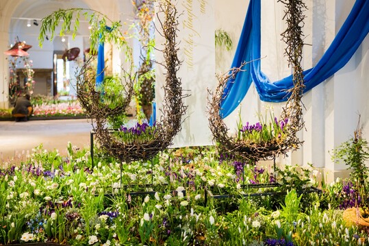 Nach drei Jahren wurde Anfang Mrz wieder die Ausstellung Dresdner Frhling im Palais organisiert, in diesem Jahr unter dem Motto Wie gemalt  Bltenpracht mit Knstlerhand. Herausfordernd fr die Floristen war nicht nur die Flche von 1.400 m, sondern auch die Hhe der Rume und die Dauer von zehn Tagen. Anja Schneider erklrt die gestalterische Umsetzung.