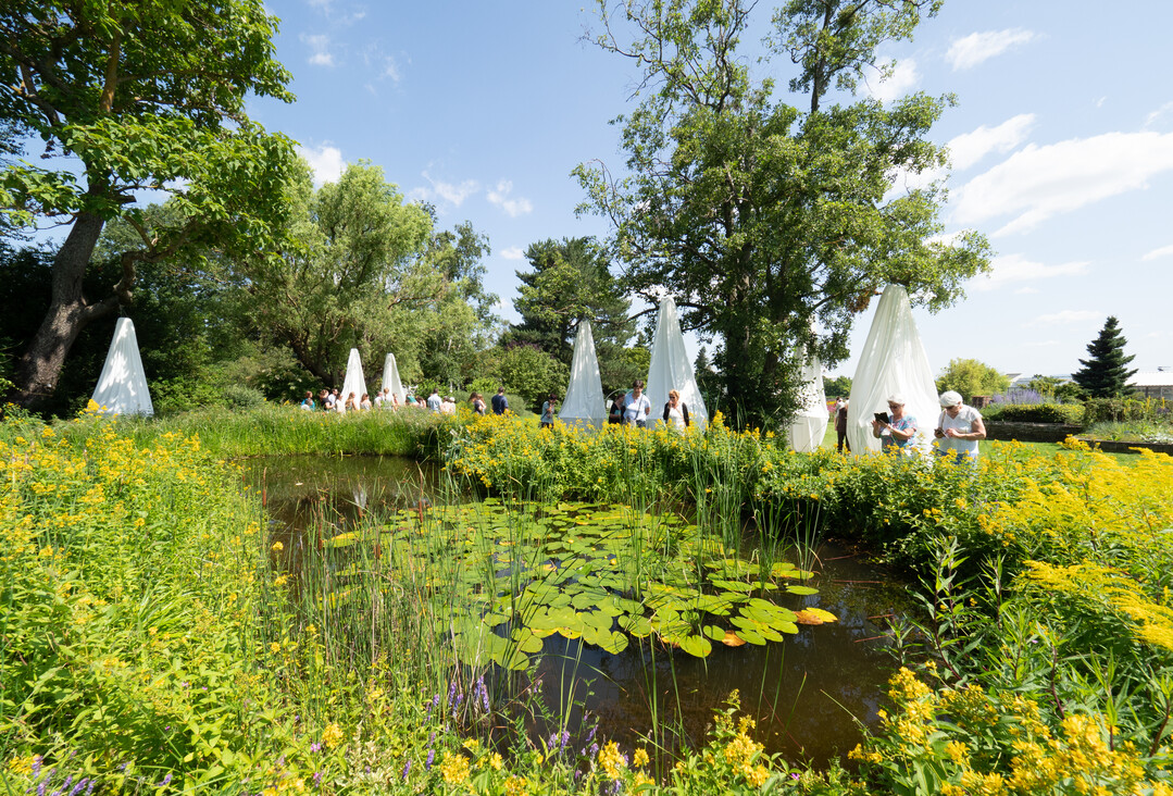 Der Staudengarten des Lehr- und Versuchsbetrieb bietet eine perfekte Kulisse.