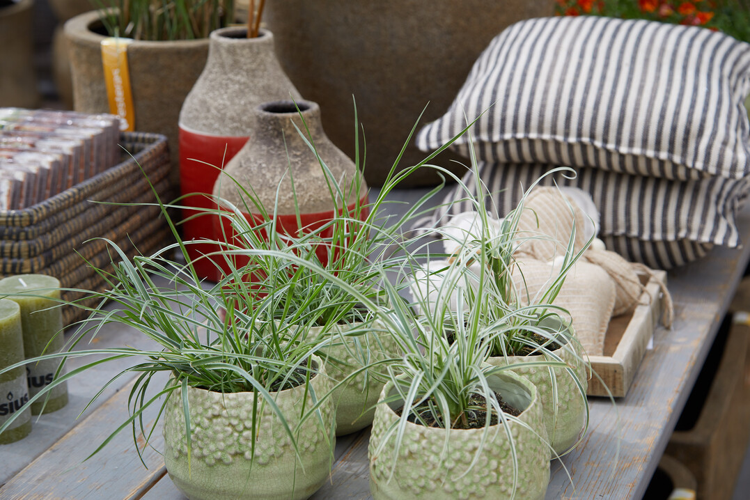 Warenprsentation im Stil von "esstential ceremonies" bei Mller Blumen & Garten in Schallstadt 
