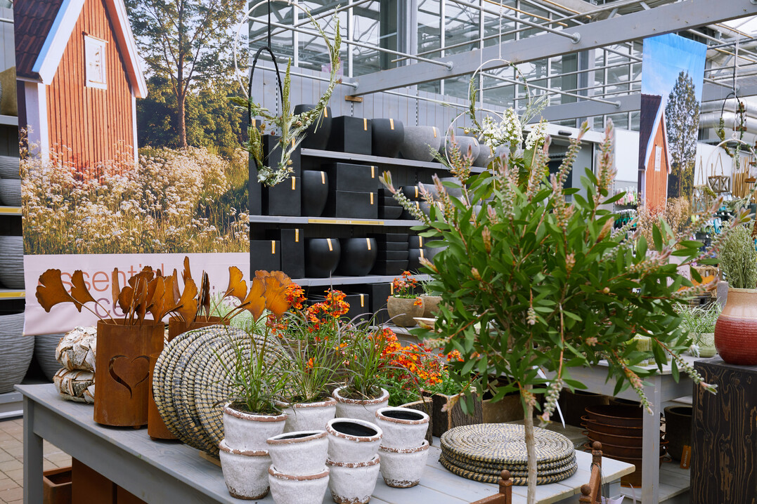 2019 wurde der Trend "esstential ceremonies" bei Mller Blumen & Garten in Schallstadt umgesetzt.