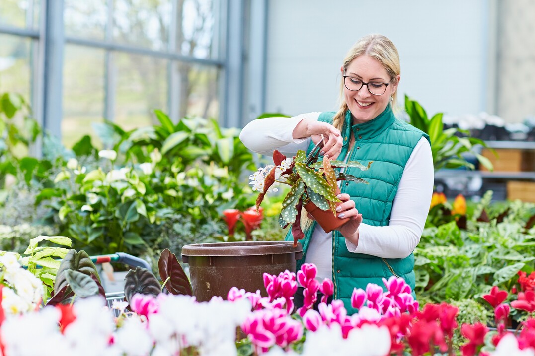 Ohne das Engagement von Frauen wrde einiges anders laufen, vor allem auch im grtnerisch-floristischen Fachhandel. Der Weltfrauentag am 8. Mrz ist eine gute Gelegenheit, ihre Leistungen zu wrdigen.