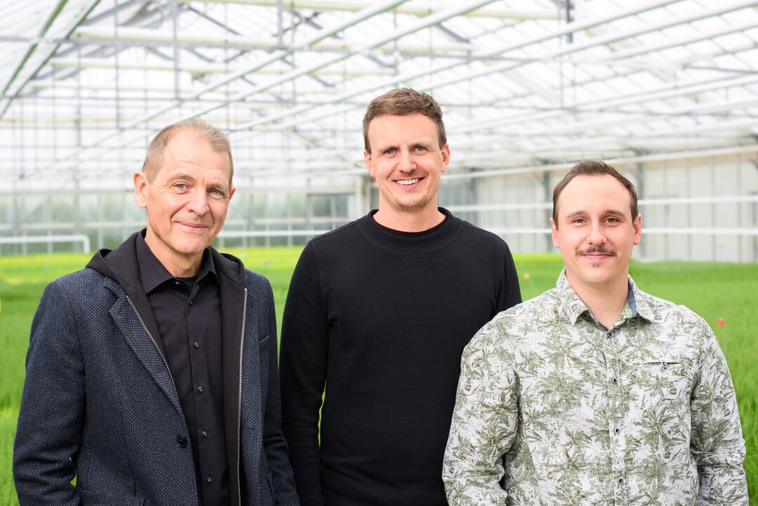 Von links: Claus Geißler, Vincent Hiedl und Lorenz Hiedl.