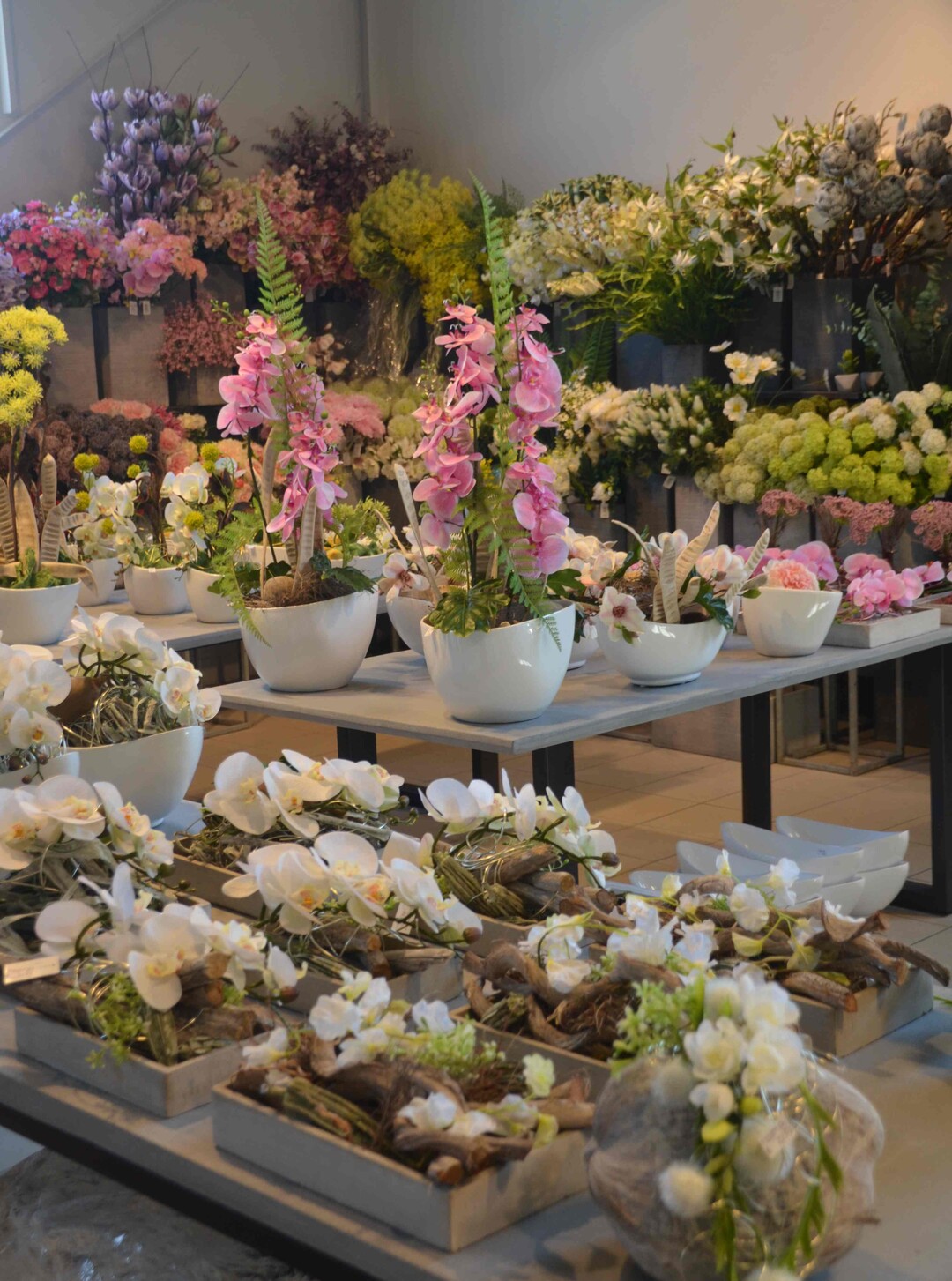 Frank Halbig hat eine neue, 1000 m groe 1A-Blumen-Filiale erffnet - ein Blumengeschft, kein Gartencenter.