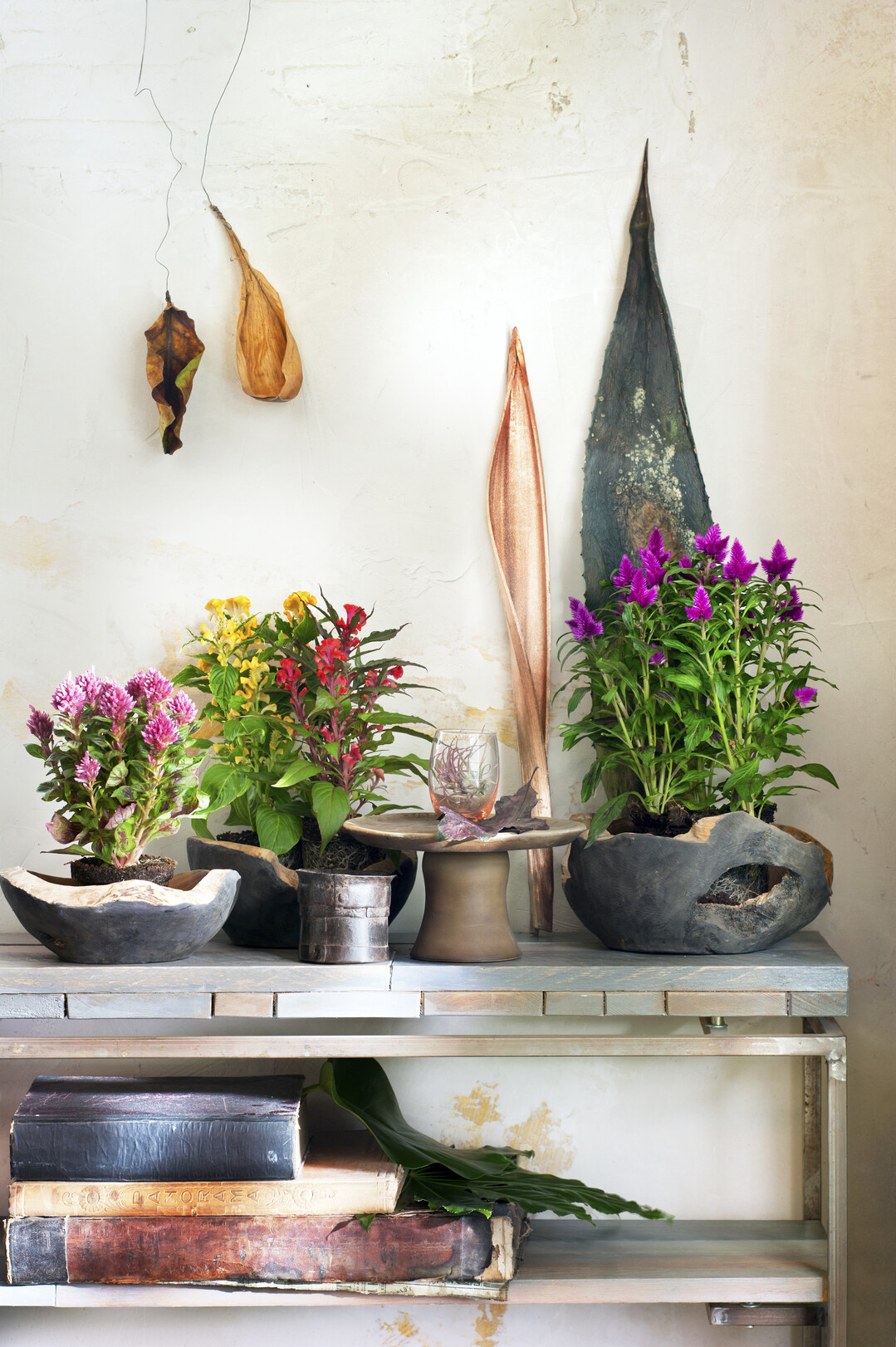 Harmonise Inddor Outdoor