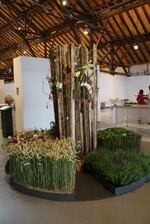 Die Interpretation eines Zitats von Achim von Arnim: "Wie oft soll es gesagt werden, dass wir von Wundern umgeben sind, insofern wir Geistesgröße genug haben, sie zu erfassen, ob wir sie immer merken und des Moments bewusst sind und gedenken das ist gleichgültig."