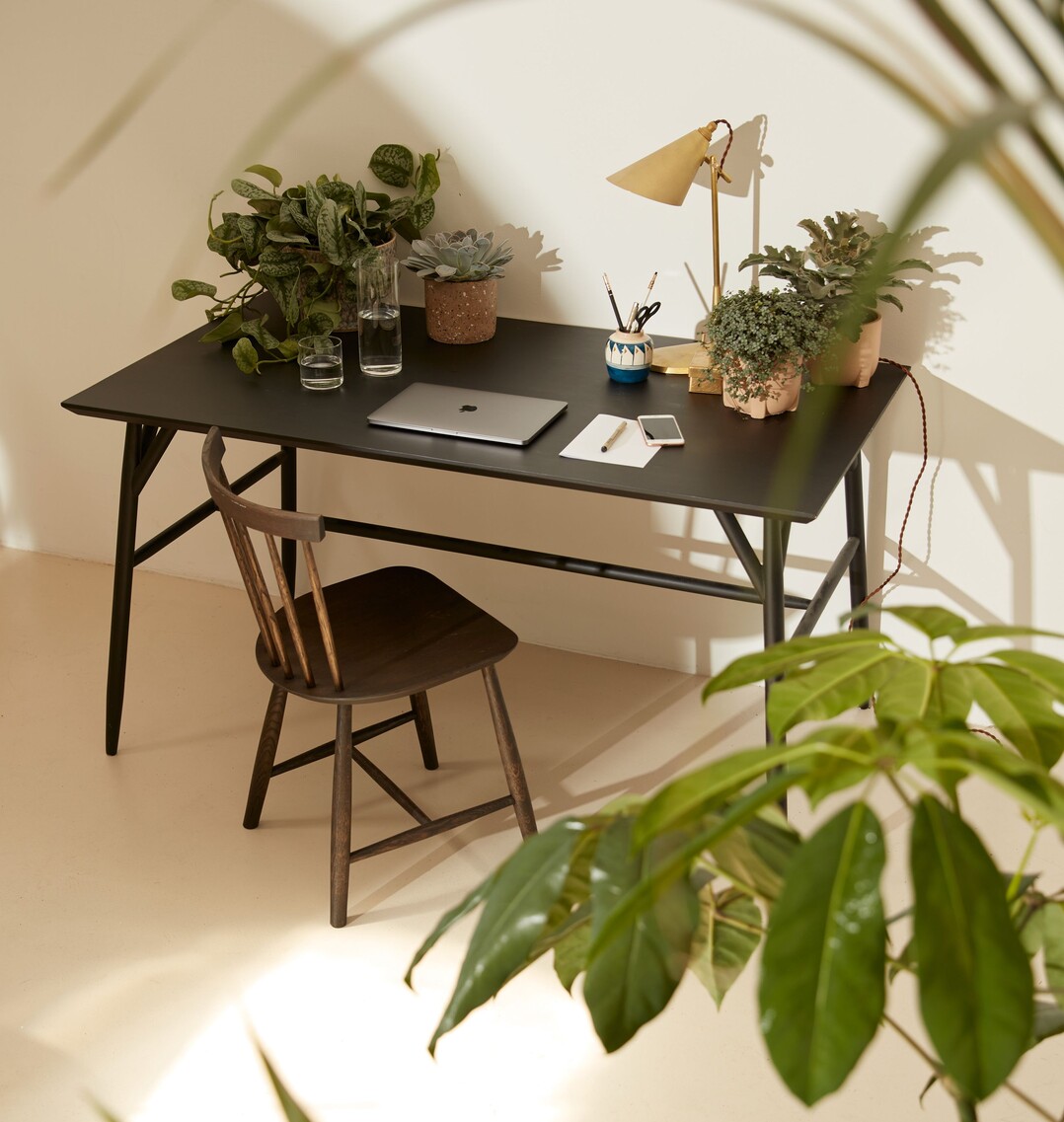   Pilea, Echeverie, Efeutute und Co. bereichern das Homeoffice.