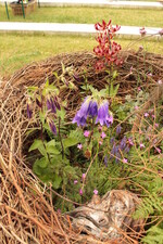 "Hommage an den Schwarzwald"