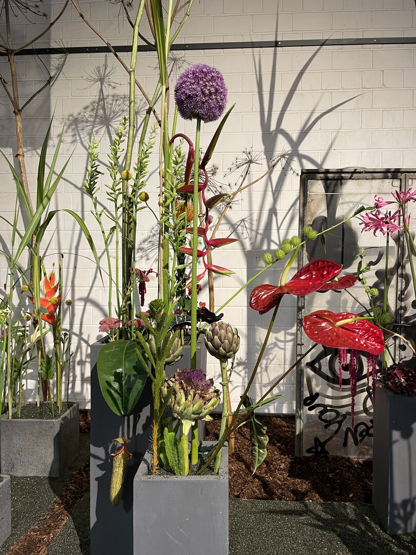 Jonas Clos von Blumen Clos Grtnerei & Floristik aus Altenglan erhielt zwei Groe Goldmedaillen der DBG fr seine Gesamtleistung und die beste floristische Umsetzung von Einzelstcken.