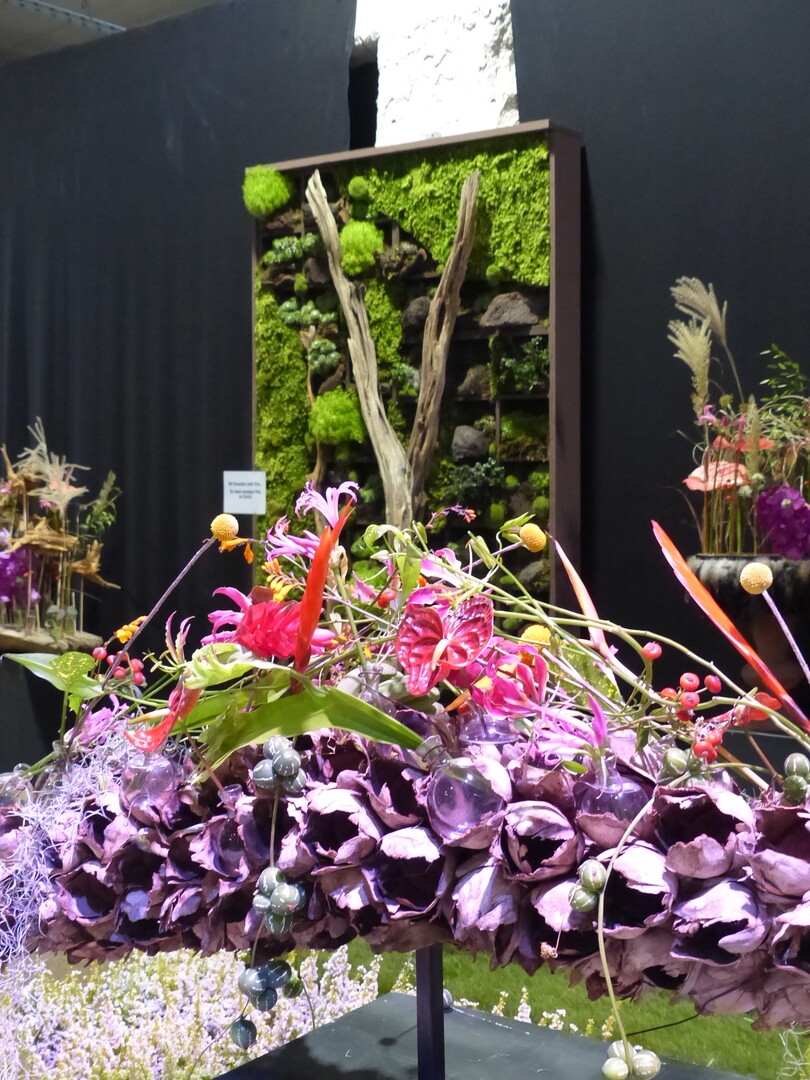 Creativ Christopher Ernst mit Floral Projects (Hans Werner Roth) wurde mit der Groen
Goldmedaille der DBG ausgezeichnet fr die 
vielfltige Zusammenstellung unterschiedlicher floristischer Werkstcke, die raumerfassend in 
Szene gesetzt wurden.