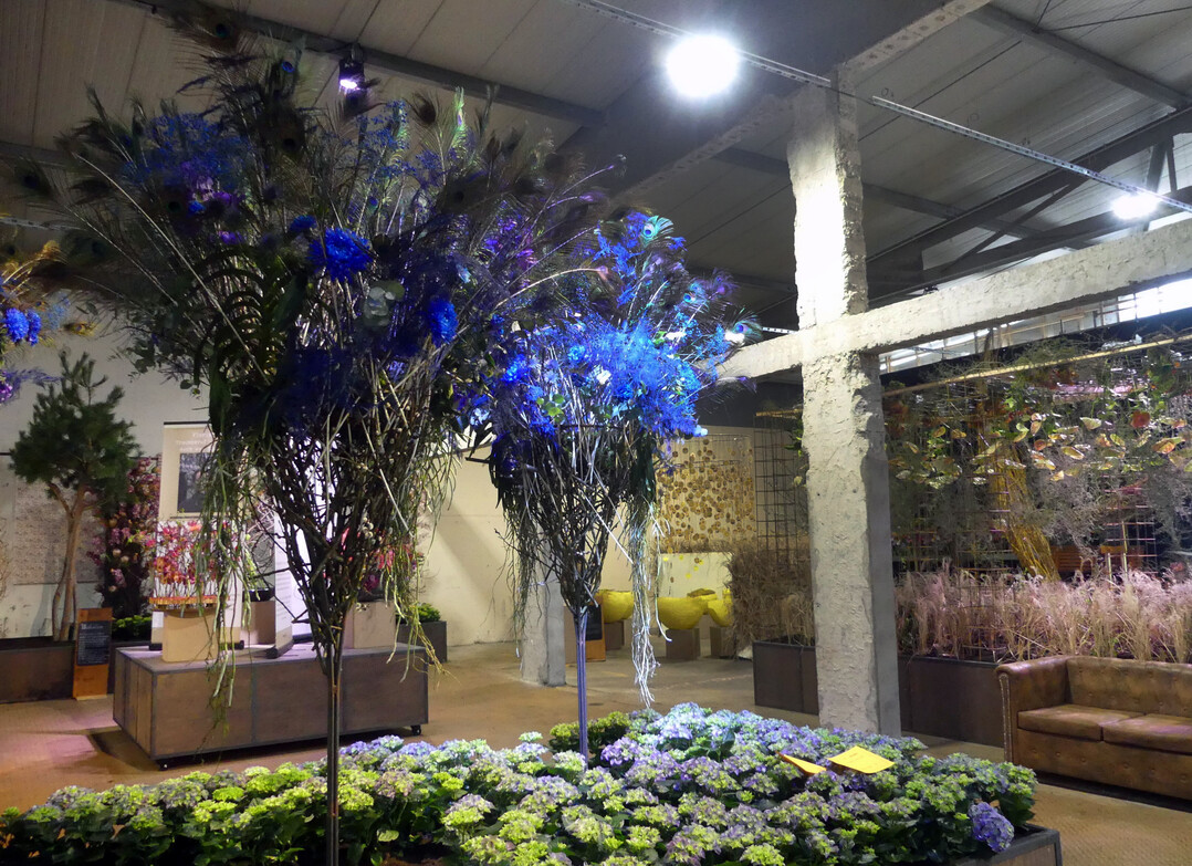 Fr die gelungene rumliche und szenische Gestaltung der Blumenhalle wurde Michael Liebrich von Blumen Ulmer by Michael Liebrich, Weilheim an der Teck, mit der Groen Goldmedaille der Deutschen Bundesgartenschau-Gesellschaft auszeichnet. Damit wurde die fein-nuancierte Farbkonstellation der Blumenhalle in raumgreifender Ausfhrung im Zusammenspiel der einzelnen Werkstcke gewrdigt.