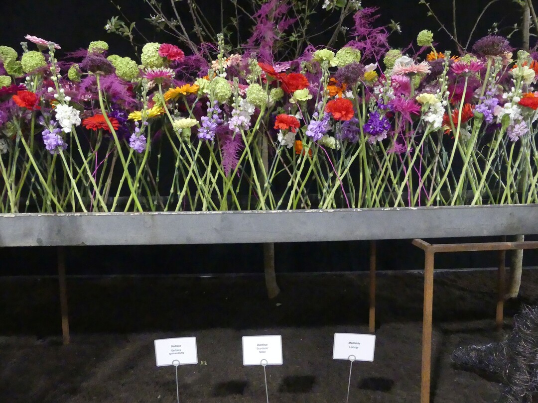 Fr die Verbindung von floralem und non-floralem Material und der Wiedergabe des Themas im Werkstck Upcycling wurde Tobias Niefenecker ebenfalls mit einem Ehrenpreis des Fachverbands Deutscher Floristen ausgezeichnet.