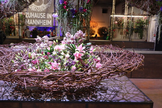 Den Menschen durch Inszenierungen die Bedeutung und den persnlichen Wert von floristisch gestalteten Blumen nher zu bringen  das ist der Motor von Gabriele Haufe. Sie ist die Kuratorin der 19 Hallenschauen der Buga 23 in Mannheim.