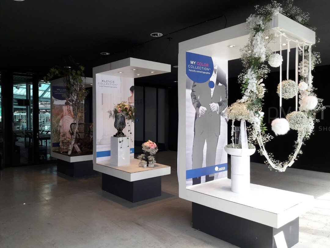Passend zum Wettbewerb zeigt die Floristin Astrid Van der Berg im Pyramide Floral Shopping Center in Naaldwijk, in den Niederlanden Hochzeitsfloristik mit Gypsophila. Zwei Wochen lang findet die Ausstellung statt.