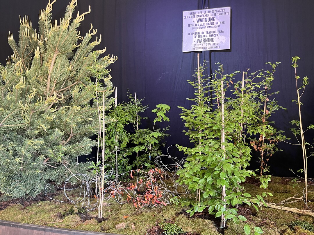 "Der Panzerwald" im Mischwald im Norden der Stadt wird noch lange nach Kriegsende scharf geschossen. Obwohl er heute kein Truppenbungsplatz mehr ist, trgt er unter der Bevlkerung immer noch seinen kriegerischen Namen.