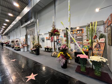 Rosen sumen den Weg: Der BGI e.V. feiert sein 60. Jubilum und startet ins Jubilumsjahr mit einem Walk of Roses in Halle 1. <br>