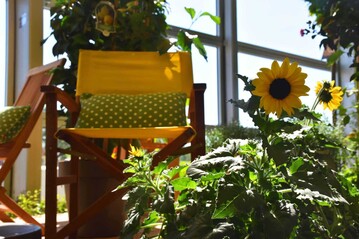 Bienenfreundliche Blumen, wie die Sonnenblume, stehen im Vordergrund der Hallenschau.