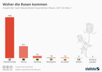 Viele der deutschen Rosenimporte kommen aus Afrika.