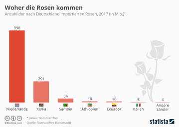 Viele der deutschen Rosenimporte kommen aus Afrika.