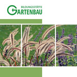 Das neue Programm der Bildungsstätte bietet zahlreiche Veranstaltungen.