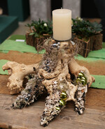 Kraft der Natur, von Klaus Wagener