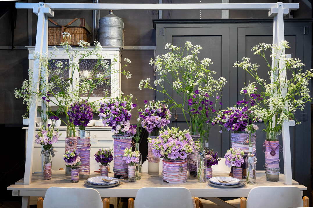   Trendy Lilac