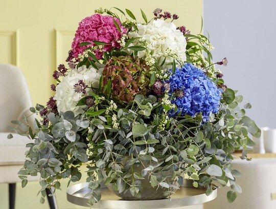 Beim Thema "Luxurios Collar wird das luxurise Aussehen der Hortensien verstrkt. Da die Hortensie die "Grande Dame" unter den Blumen ist, wird sich diese besondere Dame ber ein aufflliges Halsband freuen, das ihre weiche, runde Form perfekt
ihre weiche, runde Form perfekt umrahmt. Fr einen Kragen knnen Sie Laub, zarte Blumen oder Grser verwenden. 