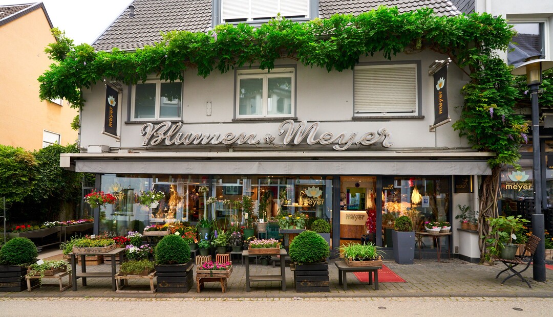 "floristik & ambiente meyer" in Sinzig gewann den Taspo Award 2021 für "Markenpräsentation POS". Einen Bericht über den Umbau des traditionsreichen Blumenhauses finden Sie in der aktuellen Juni-Ausgab von "florieren!"