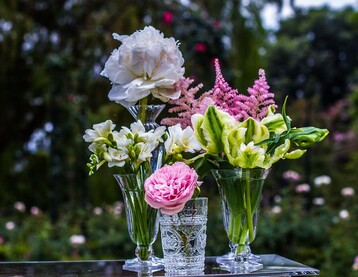 Vasenhygiene, das richtige Anschneiden der Stiele und Frischhaltemittel helfen dabei, dass die Blumen beim Kunden lange frisch bleiben.