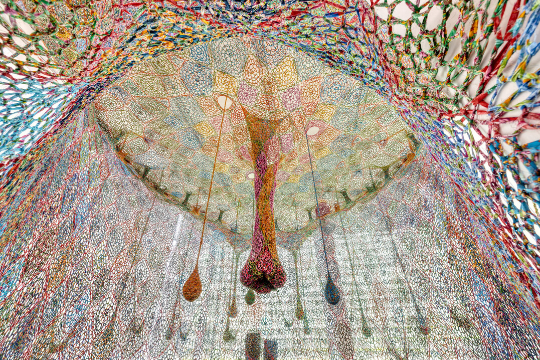 Ernesto Neto, Blue tree, 2024. Courtesy the artist and Tanya Bonakdar Gallery, New York / Los Angeles; Fortes D"Aloia & Gabriel, So Paulo and Rio de Janeiro  Ernesto Neto
