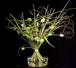 Strauß von Ines Horn. Sie ist zurzeit Meisterschülerin am Dresdner Institut für Floristik.