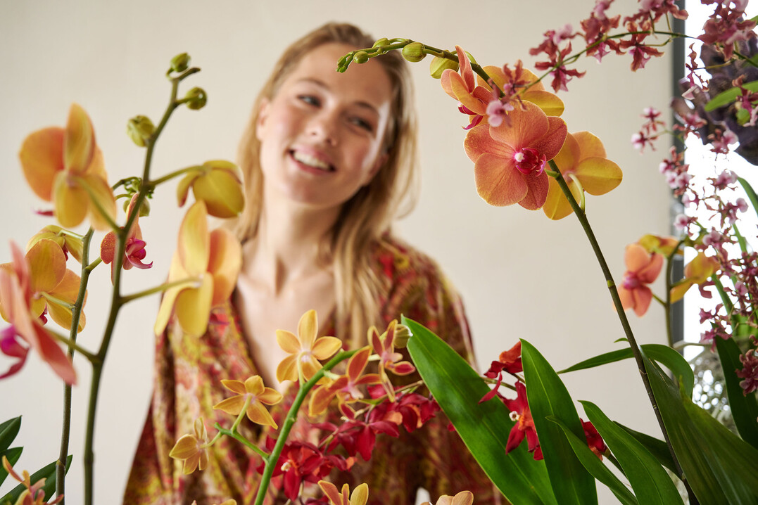 Die Botschaft der Kampagne: Orchideen sind nicht nur dekorativ, sie bescheren auch Glcksmomente.