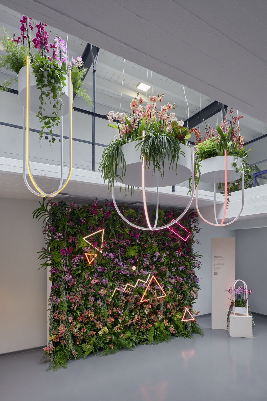 Fr die DDW 2024 konzipierten Orchidee Nederland und Aptum das temporre Kunstwerk "In Full Bloom".