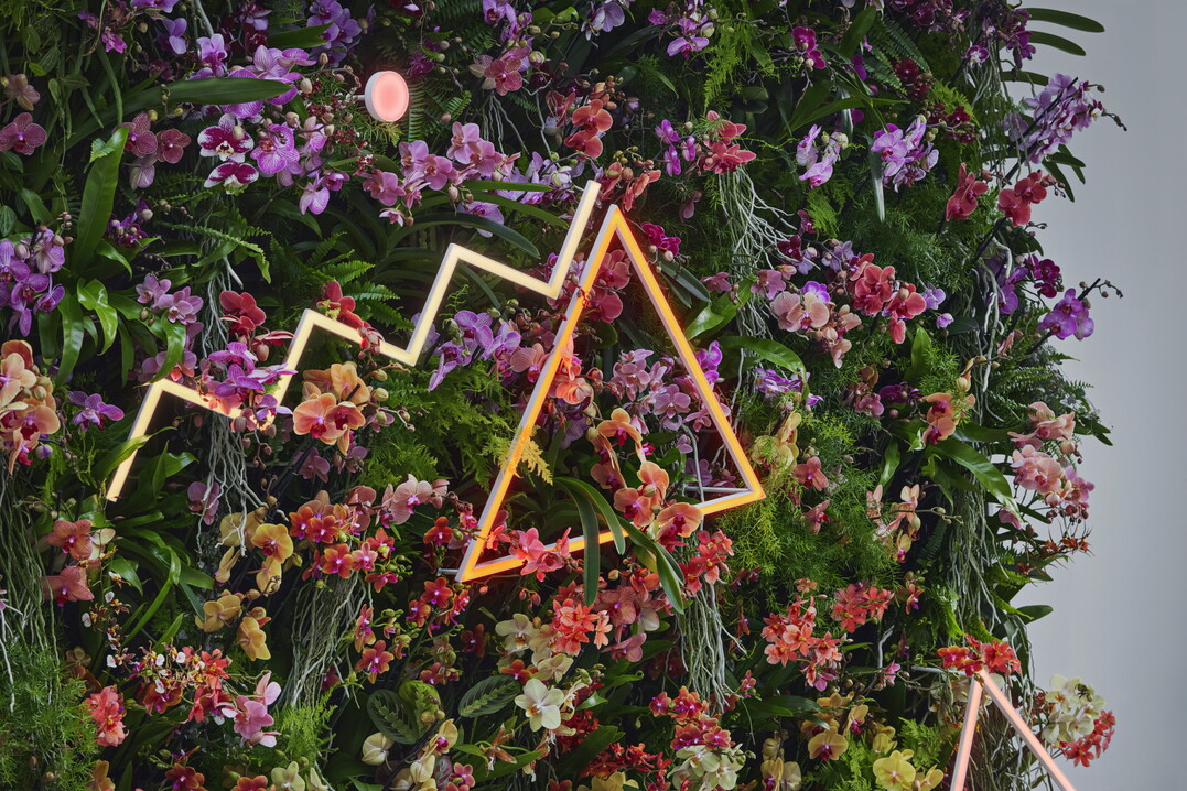 Die Orchideen wurden kombiniert mit unterschiedlich geometrisch geformten Beleuchtungskrpern, die sich ber dem lockeren Bltenmeer erhoben.