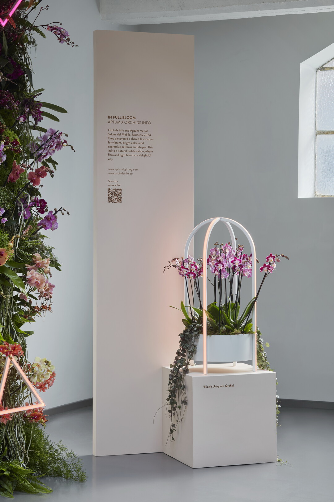 Eine ganz spezielle Orchidee wurde in einem Teil der Installation besonders herausgestellt: die "Nicole Uniquole".