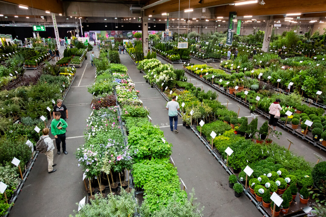 Orderhalle in Herongen