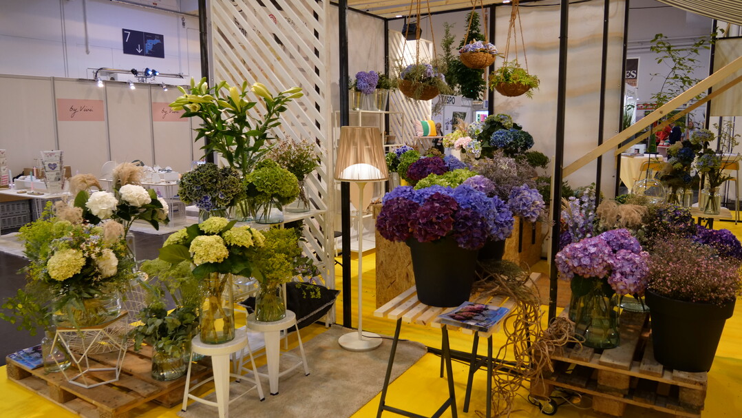 Neu ist die Kooperation des Verbands mit Hydrangea World