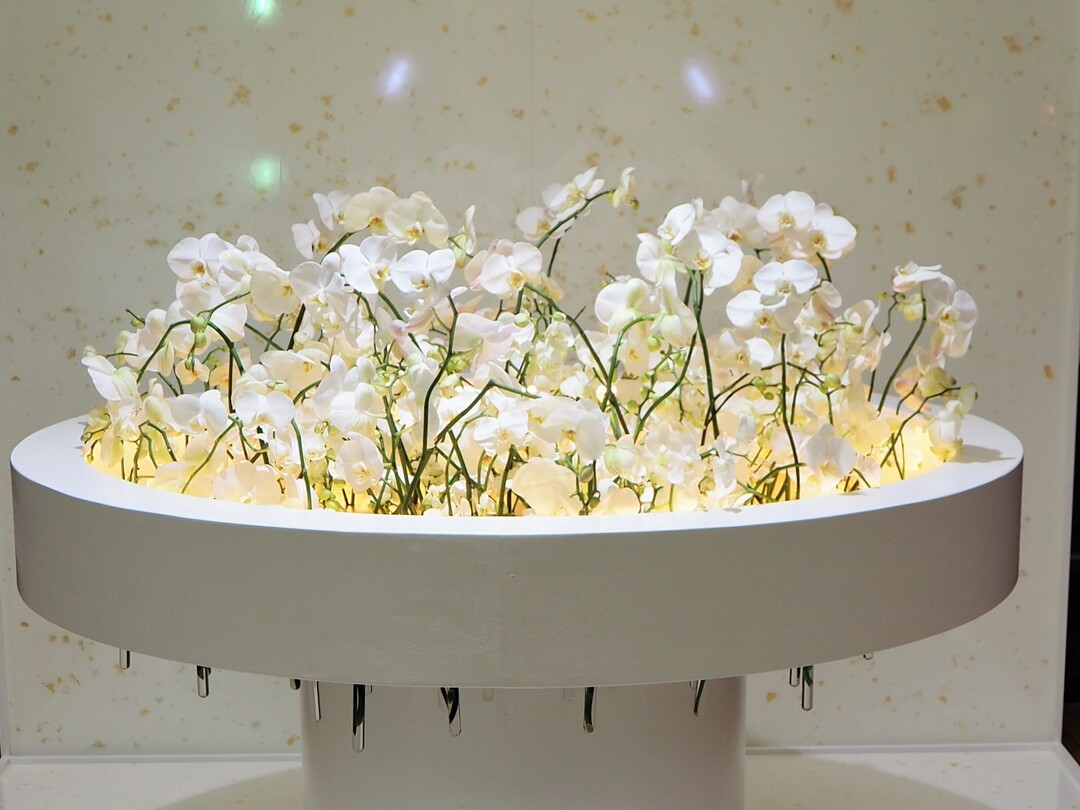 Themenarbeit: "Am runden Tisch mit der eleganten Orchidee" von Katharina Schwarz