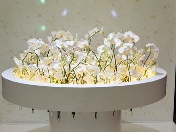 Themenarbeit: "Am runden Tisch mit der eleganten Orchidee" von Katharina Schwarz