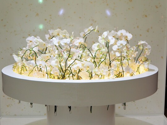 Themenarbeit: "Am runden Tisch mit der eleganten Orchidee" von Katharina Schwarz