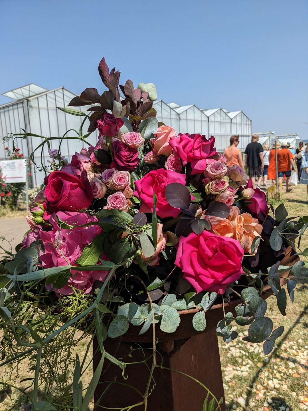 Nur wenige andere Floralien mischten sich unter die Rosen