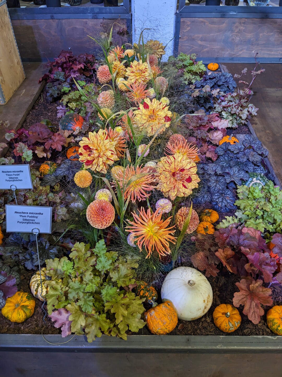 Schnittblumen und Pflanzen kombiniert.