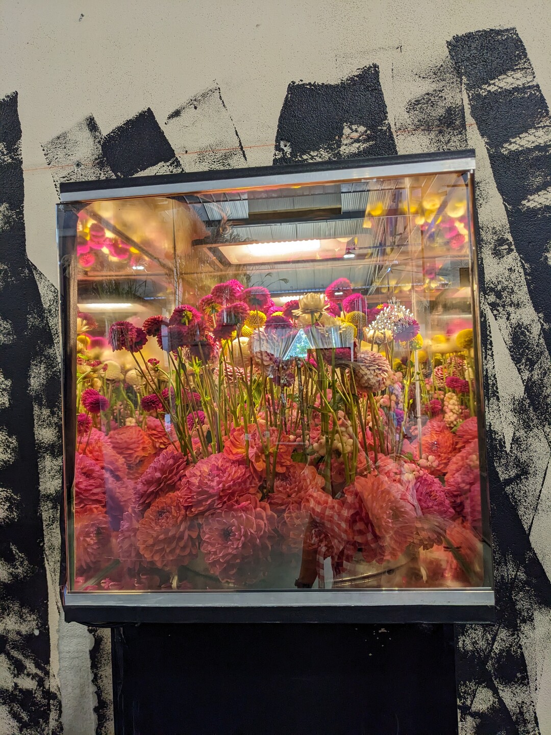 ... auf ein floristisches Werk im nun beleuchteten Glaskasten. Eine Spionfolie macht es mglich.